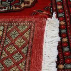 Covor traversa Bukhara 61x181 covor pakistanez pentru hol