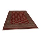 Covor pakistanez Jaldar 168x259 covor oriental lucrat manual