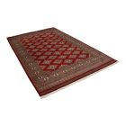 Covor pakistanez Jaldar 168x259 covor oriental lucrat manual