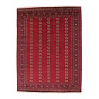 Covor pakistanez Bukhara 280x366 covor de living manual pakistanez