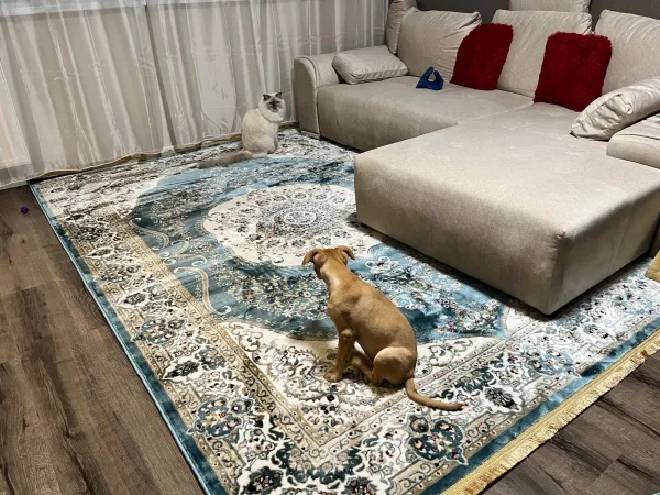 covor 200x300 ieftin reducere